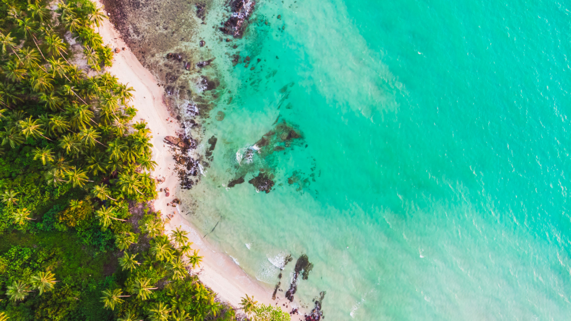 Quand partir à La Réunion ? Climat, saisons et conseils pratiques