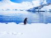 Antarctique en bateau : conseils pratiques pour bien préparer votre expédition polaire